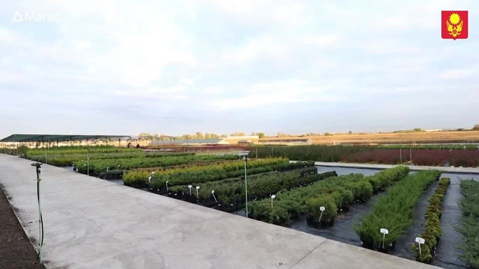 Исполняющий обязанности главы города Муса Темурзиев посетил питомник «Райян» для обсуждения возможного сотрудничества