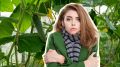 Холодное лето не навредит урожаю огурцов: опрыскайте листву вот чем