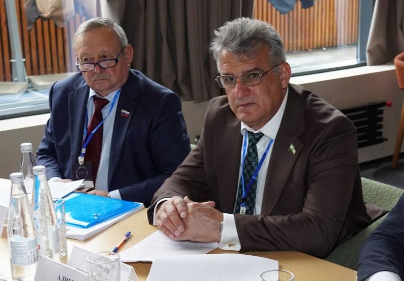 Руководители парламентских комитетов приняли участие в работе профильных комитетов Конференции