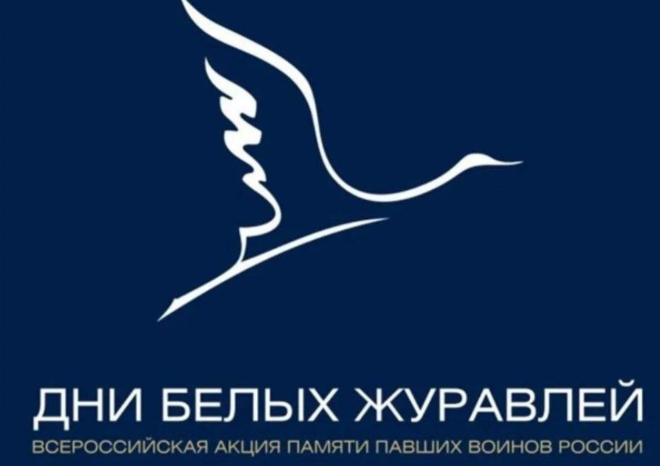 Женсовет СК Ингушетии провел акцию «Белые журавли»