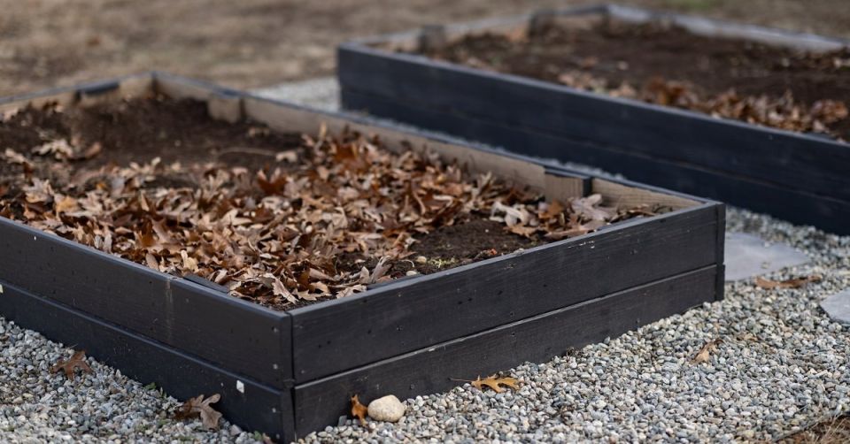 Октябрь в саду: важные дела на осень