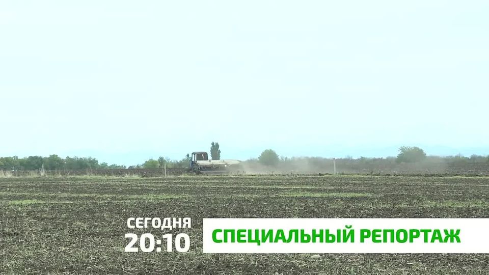 «Специальный репортаж». Самые яркие изменения в сельском хозяйстве Ингушетии произошли за последние шесть лет