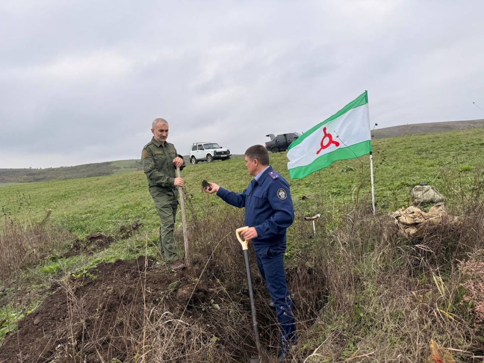 Сотрудники следственного управления приняли участие в поисковых мероприятиях в Малгобекском районе