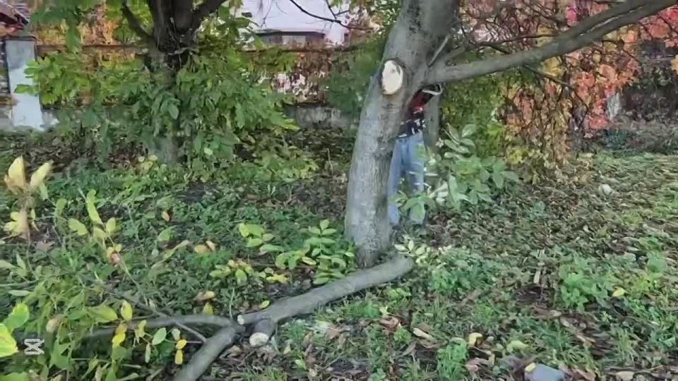 Субботник на территории городского пруда