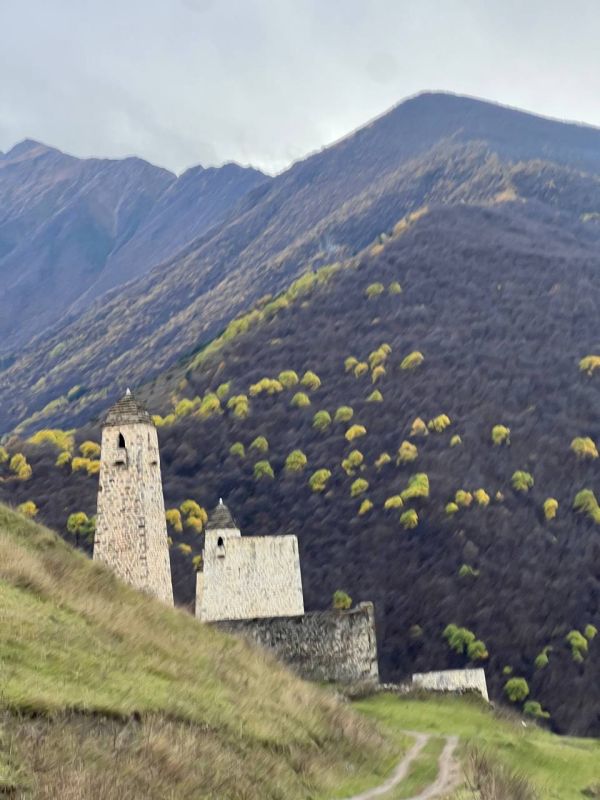 Ингушетия.. Я еду домой в Волгоградскую область и пишу пост о том, как в Орой раз покорила сердце эта солнечная республика! Уехала не только с эмоциями и воспоминаниями, но и с подарками от Главы Республики Махмуд-Али...