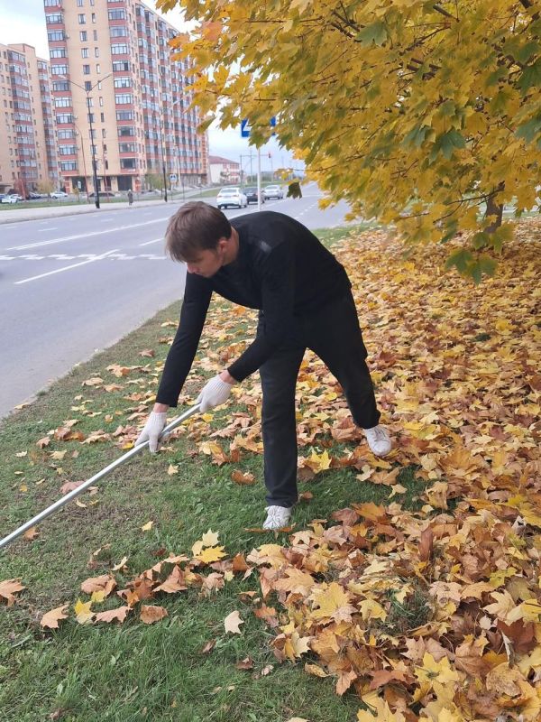 Молодёжный Совет при главе города Магас помогал сегодня "Зеленхозу" убирать опавшую листву