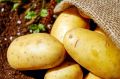 Какие продукты можно есть и не толстеть