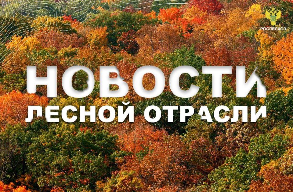 TV Губерния: Почти 70 тысяч саженцев лесных культур высадят осенью в Воронежской области