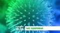 «Час здоровья». Почему и откуда появляются внутриутробные инфекции? Чем они опасны для новорождённых? Как их вовремя выявить и эффективно лечить? Как защитить будущего ребёнка от заражения внутриутробно и во время родов? Эти...