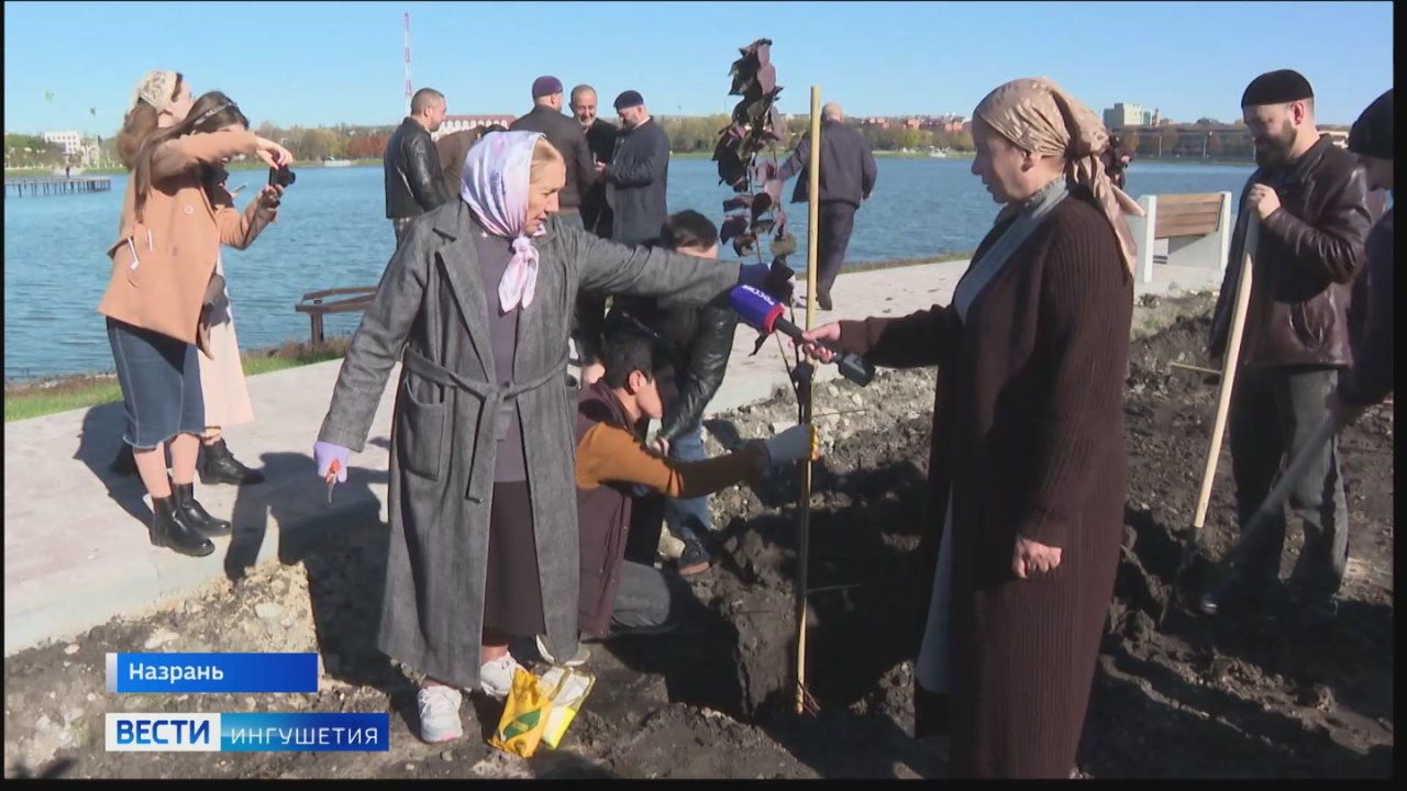В экс-столице Ингушетии идут работы по благоустройству территории вокруг городского пруда
