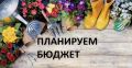 Как избежать лишних трат при планировании бюджета на садовый сезон 2025 года