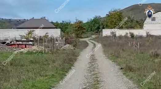 Руководитель следственного управления СК России по Республике Ингушетия поручил организовать доследственную проверку по выявленной в социальных сетях информации о нарушении прав жителей сельского поселения Плиево