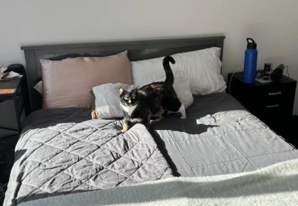 Скандинавский подход к сну: новая волна в отношениях