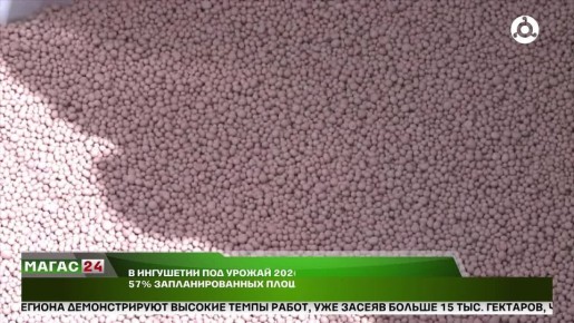 В Ингушетии продолжается осенняя призывная кампания