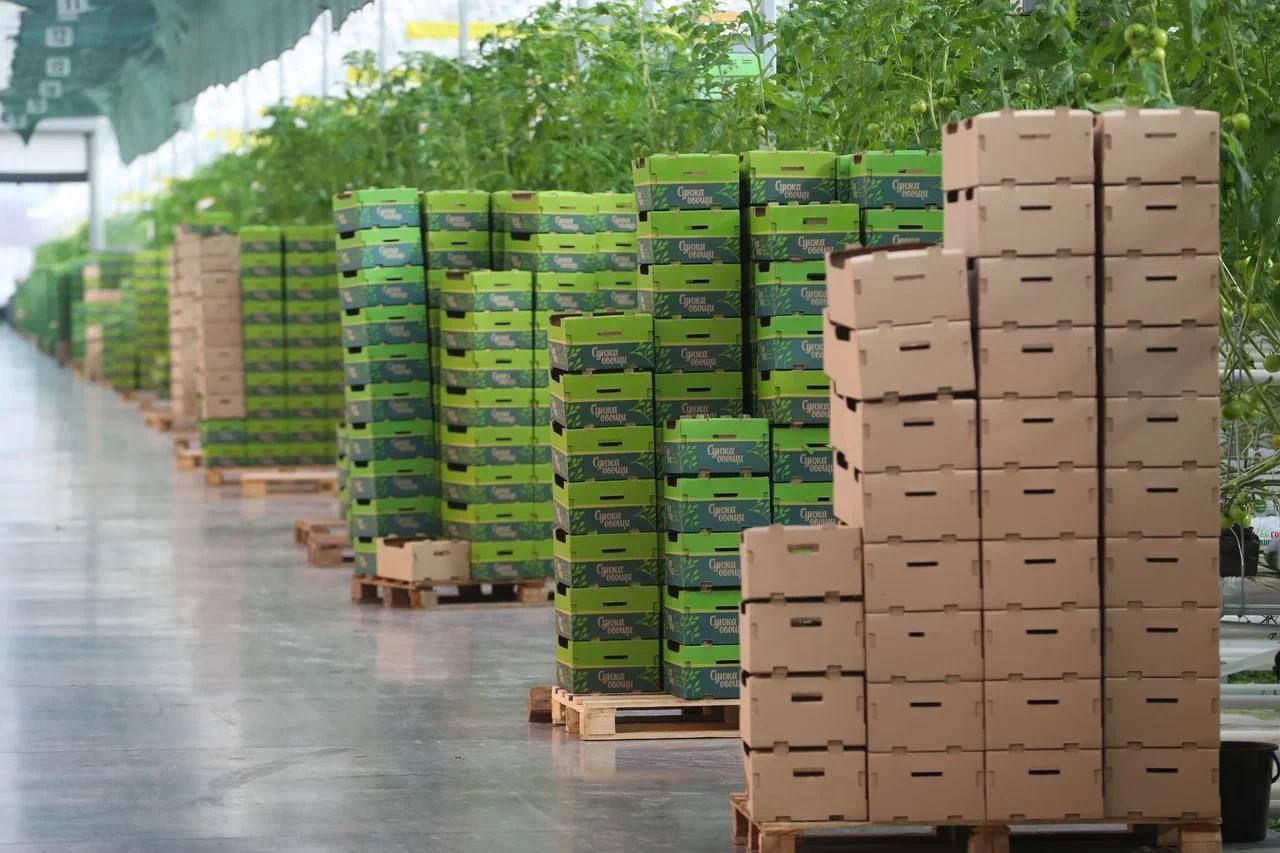 Ключевой инвестпроект Ингушетии – агрокомплекс «Сунжа» – готовится к запуску в конце этого года Ключевой инвестпроект Ингушетии – агрокомплекс «Сунжа» – готовится к запуску в конце этого года