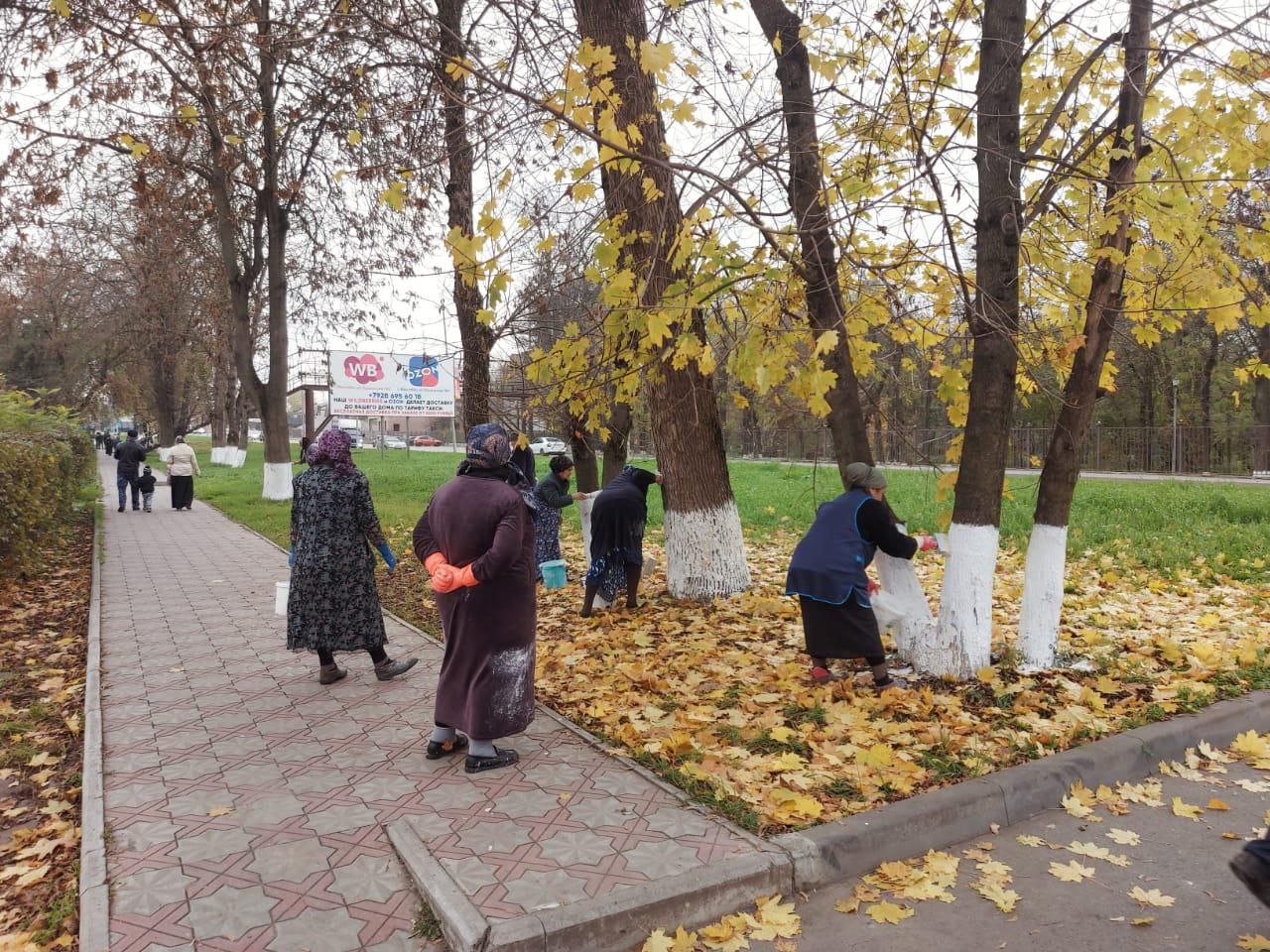 В Малгобеке состоялся субботник В Малгобеке состоялся субботник