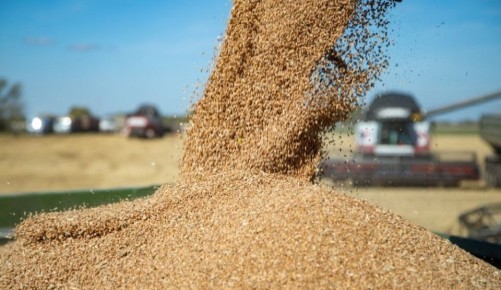 Экспорт сельхозпродукции в Ингушетии перевыполнен в 2 раза