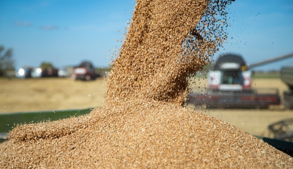 Экспорт сельхозпродукции в Ингушетии перевыполнен в 2 раза