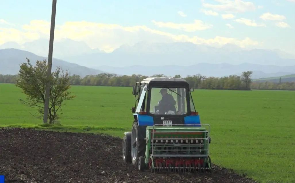 В Ингушетии испытывают семенной материал 10 сортов озимых зерновых культур