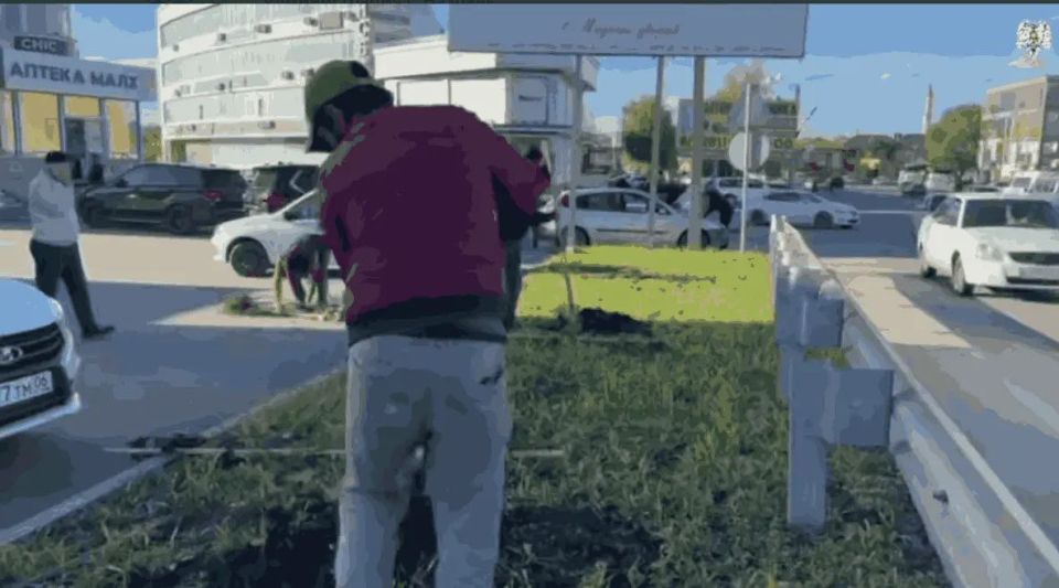 В Назрани высажено свыше 800 саженцев деревьев и многолетних кустарников