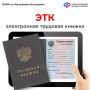 Более 28 тыс. электронных трудовых книжек оформлено ОСФР по Ингушетии