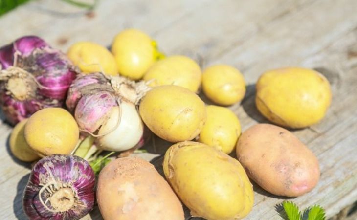 Картофельники по-московски для тех, кто устал от драников: старый рецепт