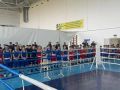 Турнир по боксу в честь Дня сотрудника органов внутренних дел прошел в Ингушетии