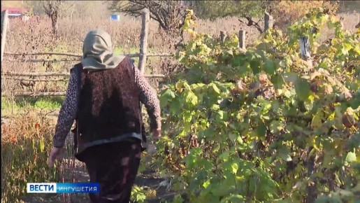 В подарок от главы Ингушетии сельчане получили современный очаг культуры