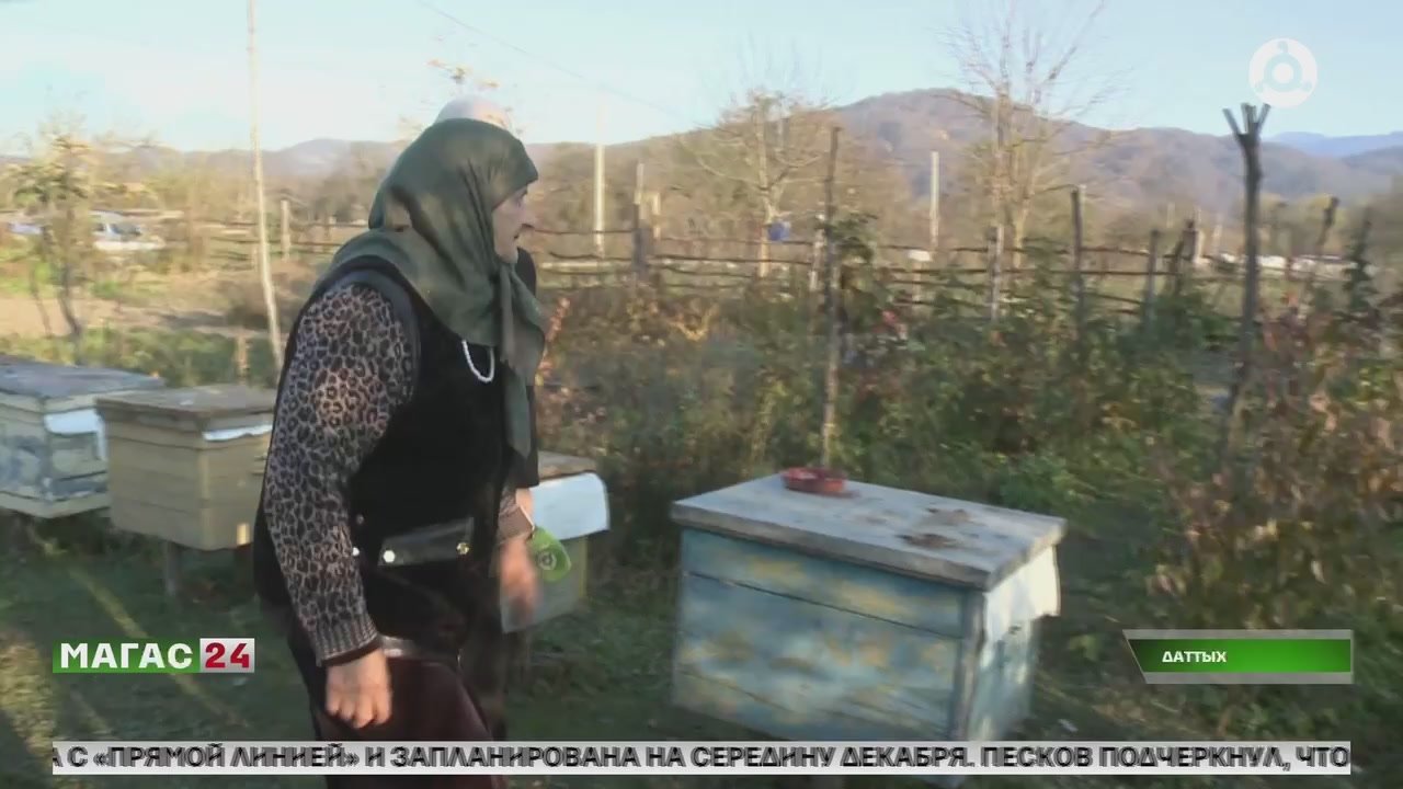 Глава Ингушетии навестил победительницу первого конкурса на «Лучшее ЛПХ-2021 года» Рапият Пидиеву