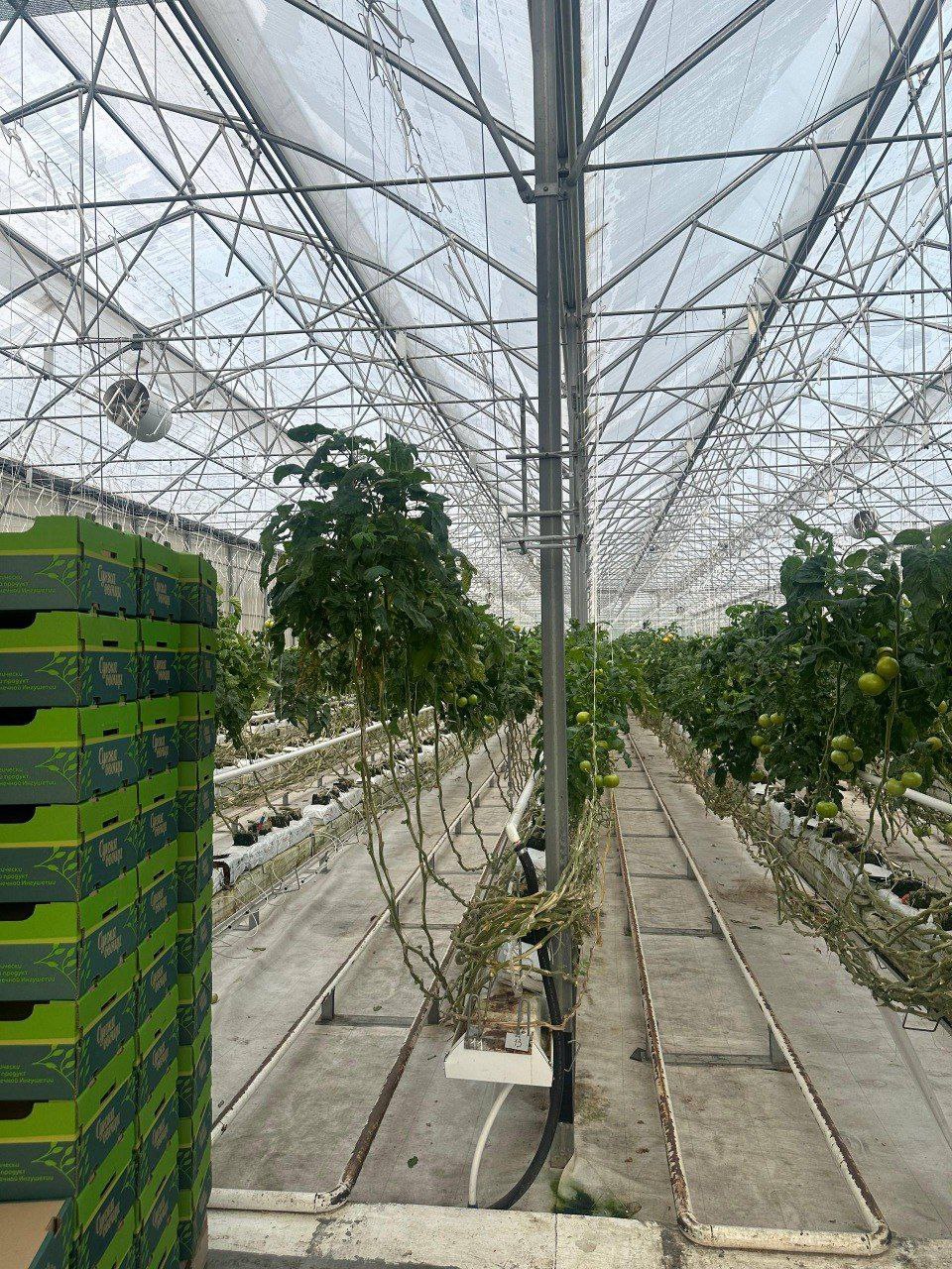 Школьники Сунжи посетили современный агрокомплекс Школьники Сунжи посетили современный агрокомплекс