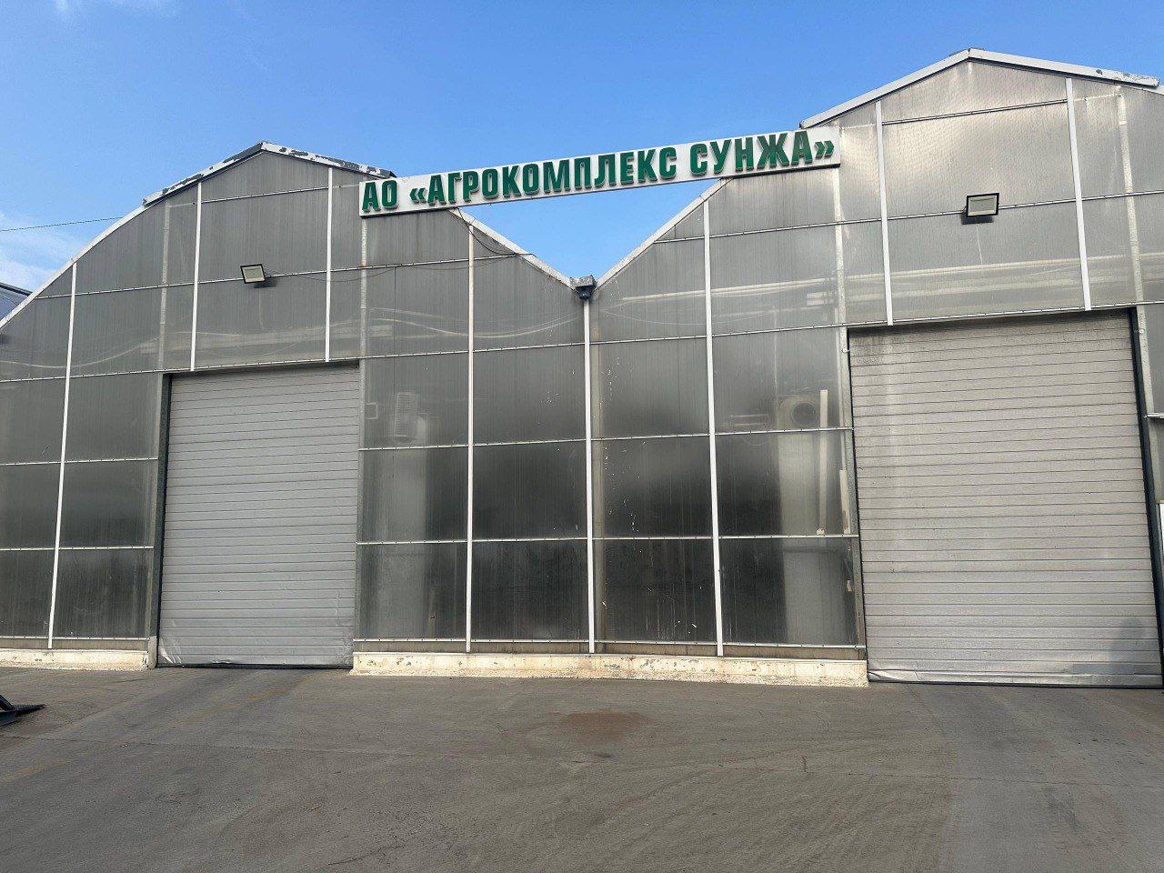 Школьники Сунжи посетили современный агрокомплекс Школьники Сунжи посетили современный агрокомплекс