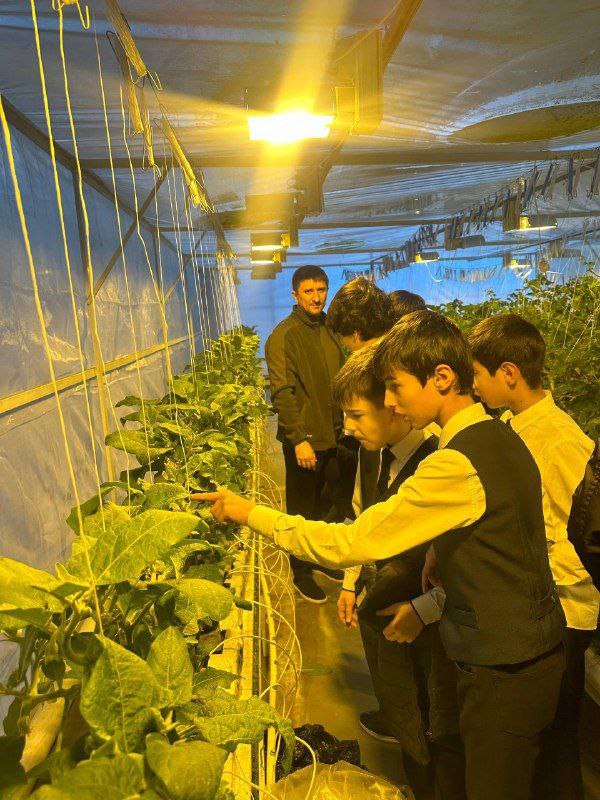 Школьники Сунжи посетили современный агрокомплекс Школьники Сунжи посетили современный агрокомплекс