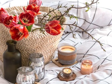 Весеннее преображение: как избежать распространенных ошибок при обновлении сада