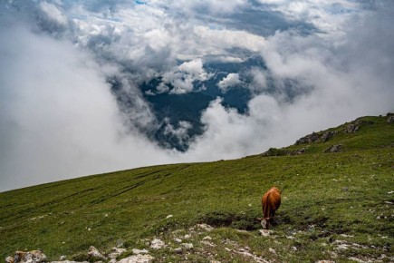 Минсельхоз Ингушетии делится лучшими кадрами