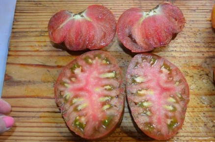 Как собрать семена томатов: секреты успешного огородника