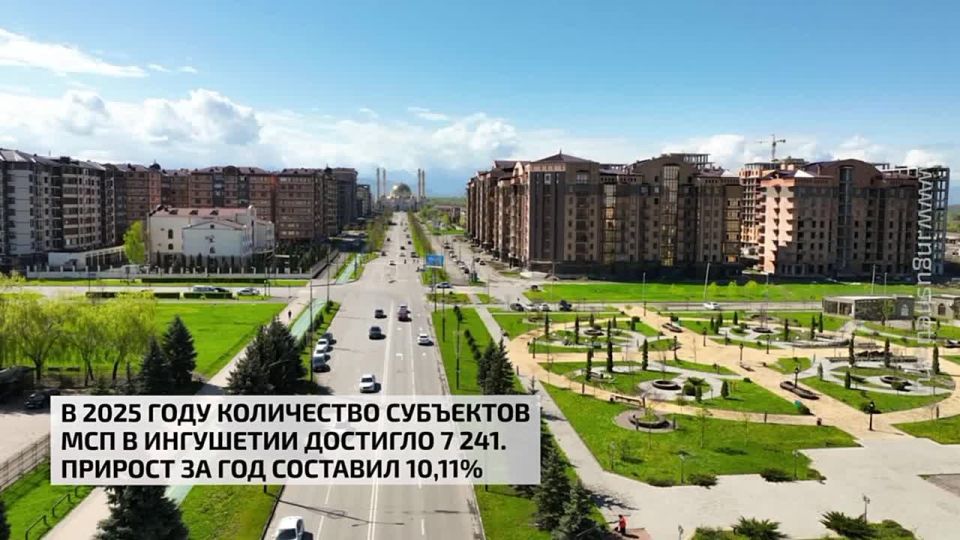 В 2025 году количество субъектов МСП в Ингушетии достигло 7 241