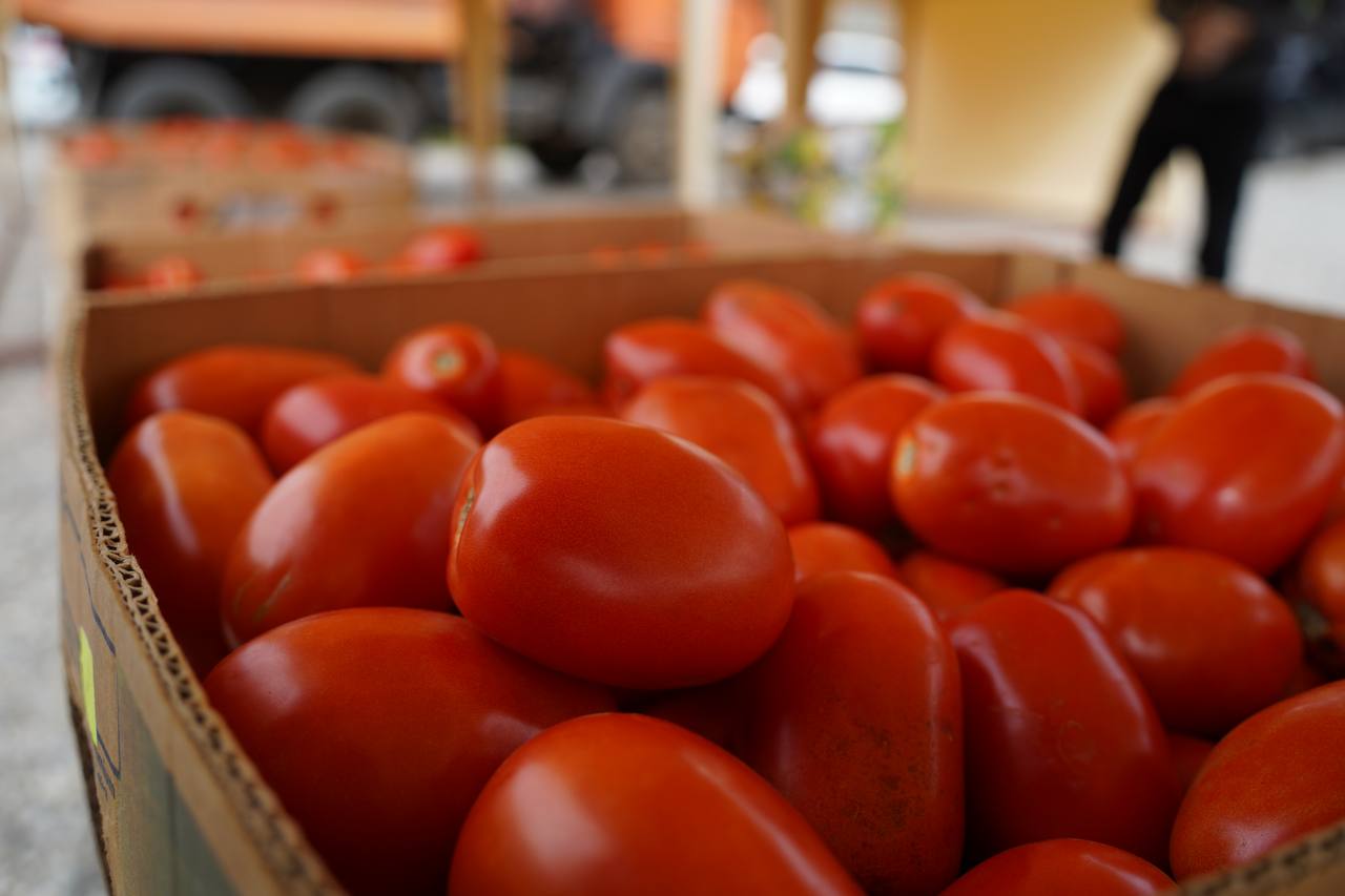 Аграрии Ингушетии подводят итоги уборочной кампании