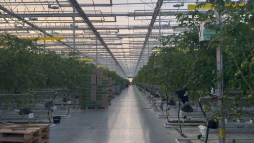 В Ингушетии активно развивается агрокомбинат «Сунжа»