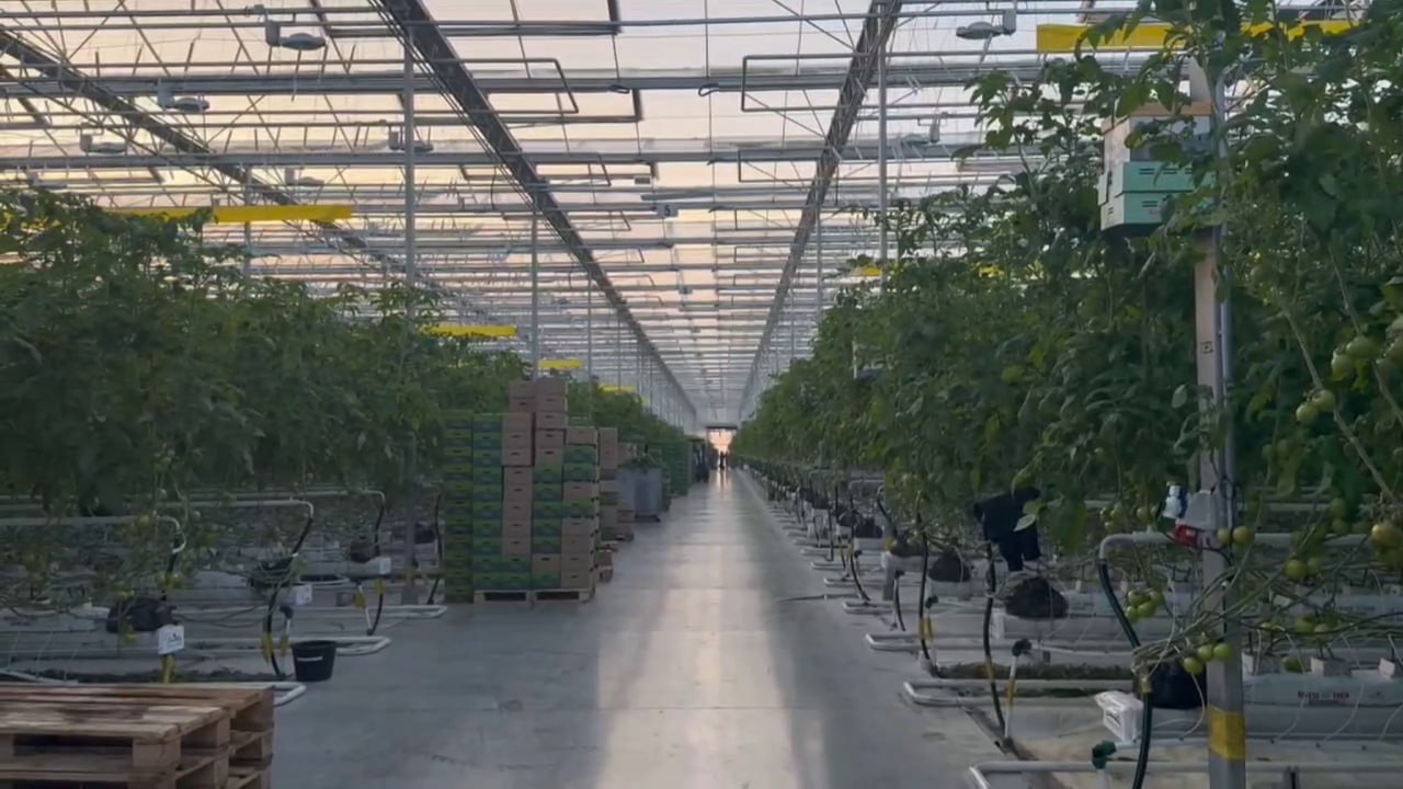 В Ингушетии активно развивается агрокомбинат «Сунжа»