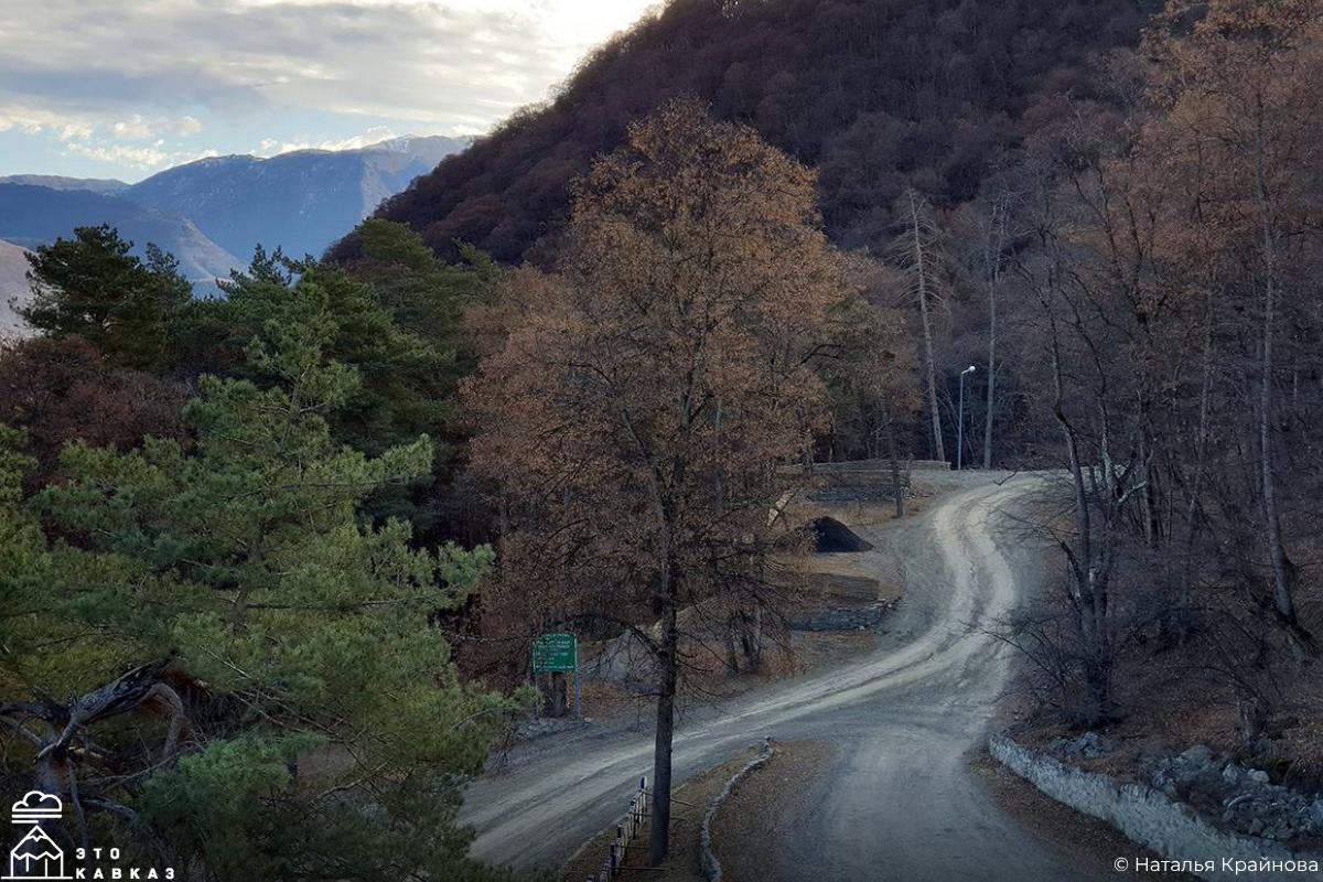 Идея на зимний сезон — подправить здоровье и насладиться горами на курорте Армхи в Ингушетии Идея на зимний сезон — подправить здоровье и насладиться горами на курорте Армхи в Ингушетии