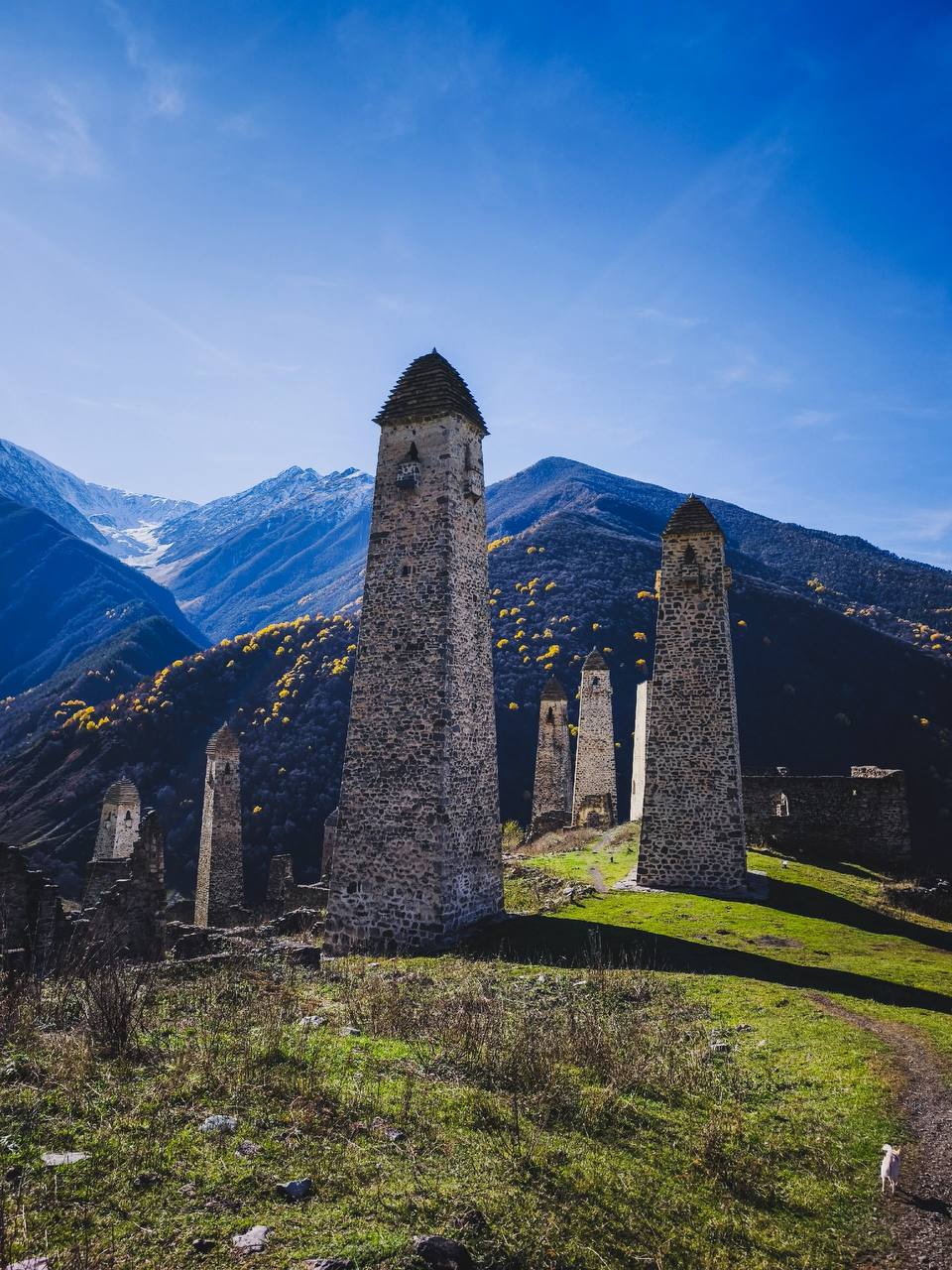 Башенный комплекс Эрзи, Джейрахский район, Республика Ингушетия Башенный комплекс Эрзи, Джейрахский район, Республика Ингушетия