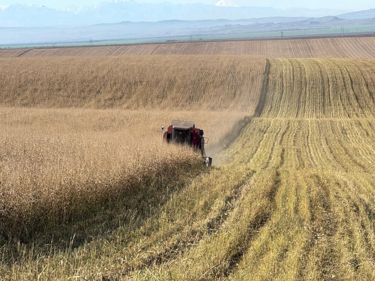 Уборочная кампания в Ингушетии