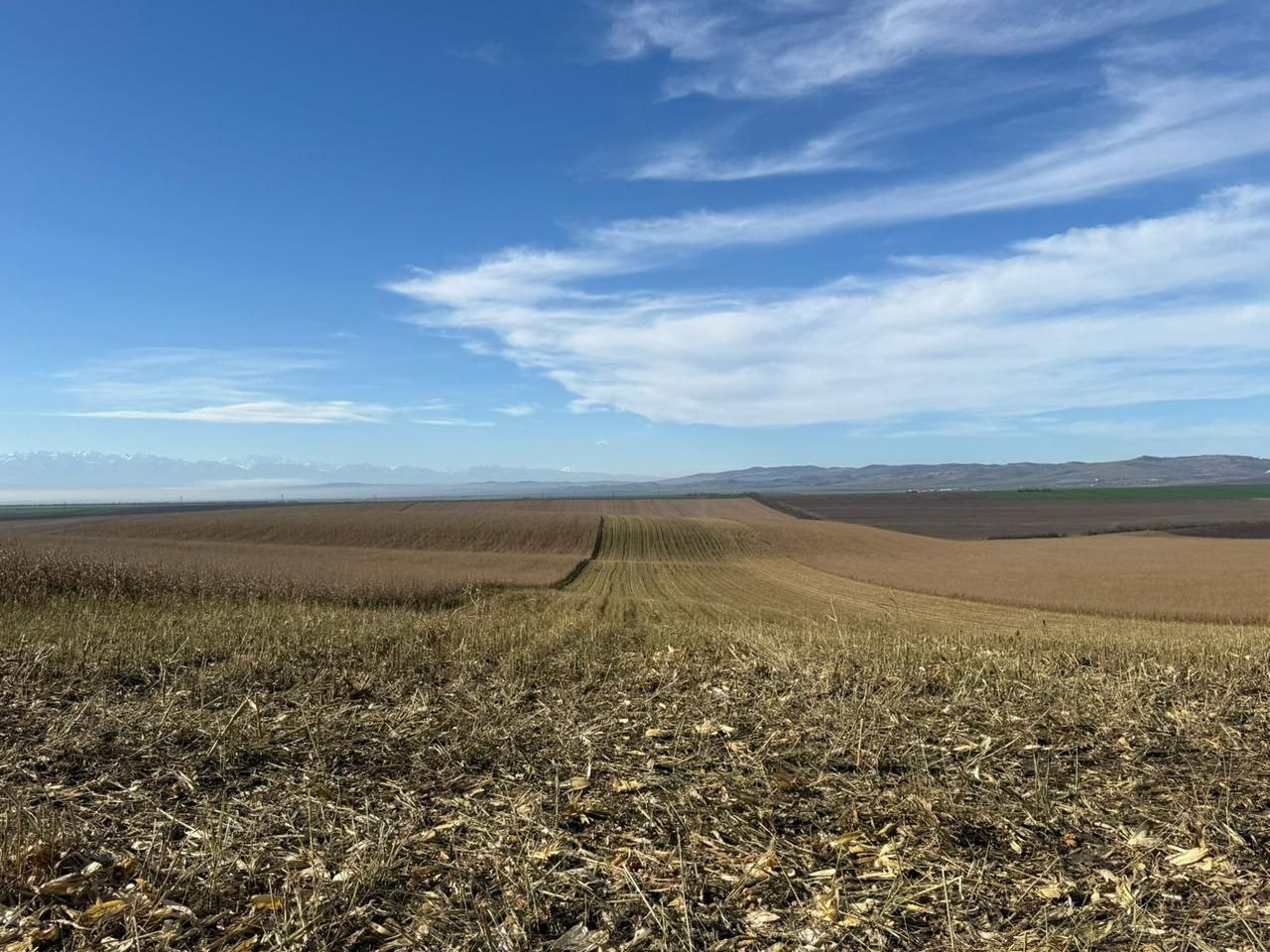 Уборочная кампания в Ингушетии Уборочная кампания в Ингушетии