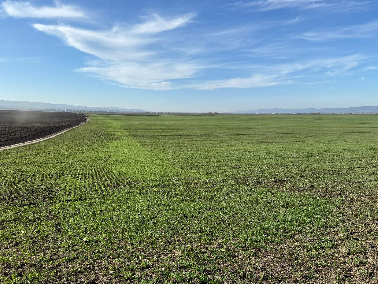 Ингушетия завершает посевную: аграрии засеяли уже более 20 тыс Ингушетия завершает посевную: аграрии засеяли уже более 20 тыс