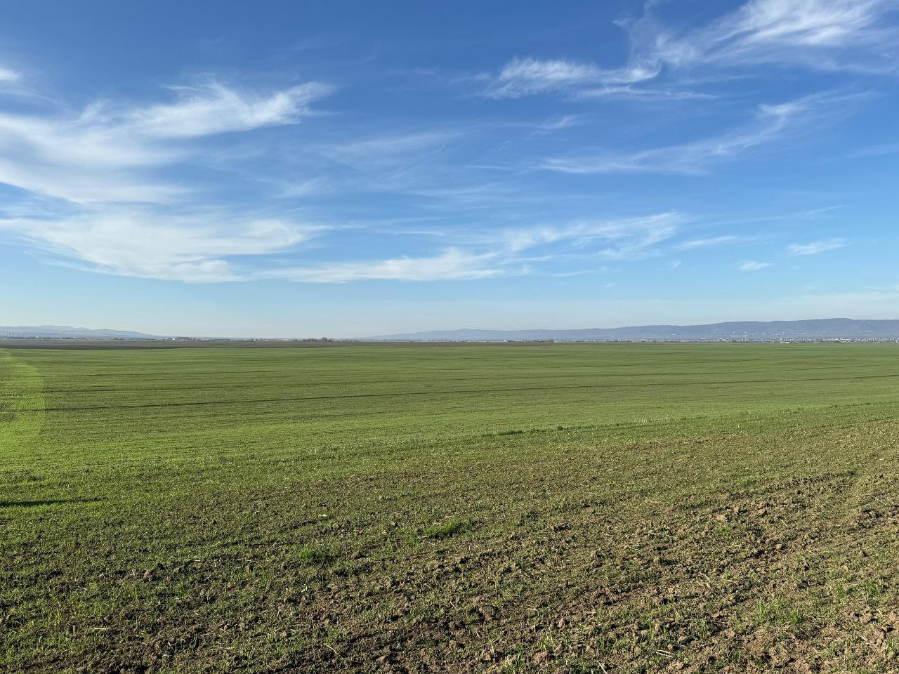 Ингушетия завершает посевную: аграрии засеяли уже более 20 тыс