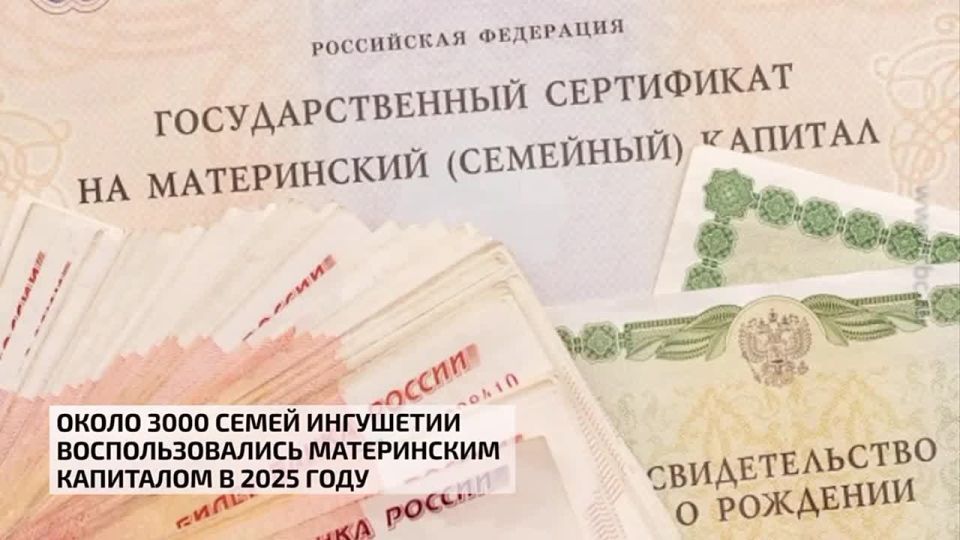 Около 3000 семей Ингушетии воспользовались материнским капиталом в 2025 году