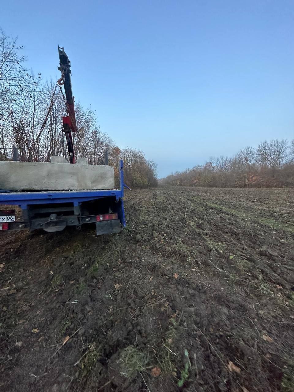 Работы в лесном питомнике Ингушетии Работы в лесном питомнике Ингушетии