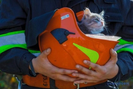  14:10   21.11.2025      &quot; 112&quot;     ..   ,       ,     