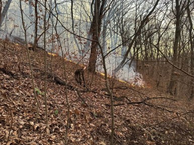 В Джейрахском районе на территории, прилегающей к лесному фонду, было зафиксировано возгорание сухой растительности