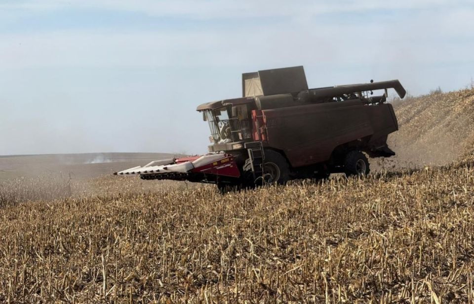 Минсельхоз Ингушетии контролирует ход уборки кукурузы